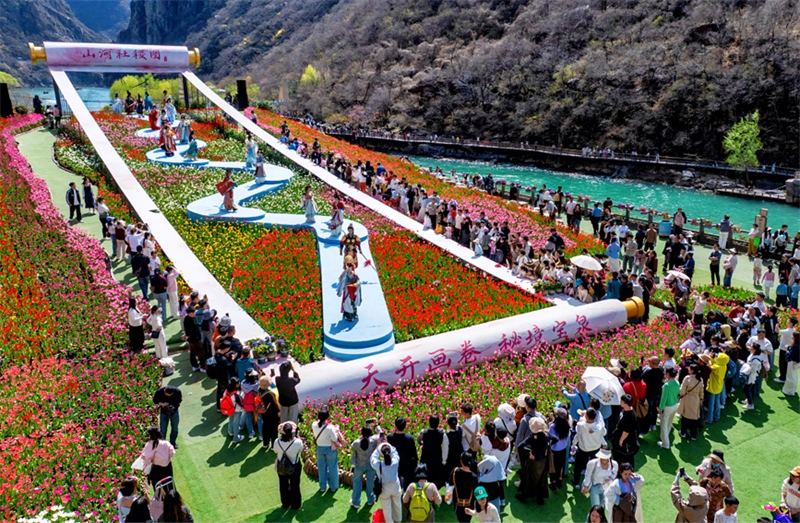 Henan : des millions de tulipes fleurissent et rivalisent de beauté à Xinxiang