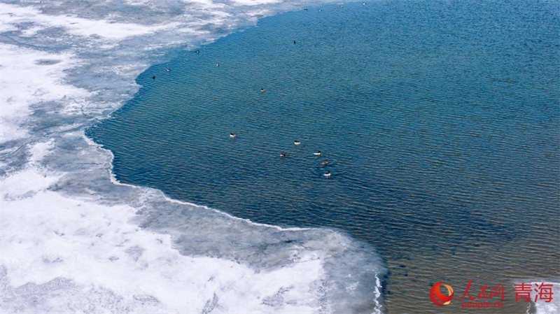 (Photo / le Quotidien du Peuple en ligne)