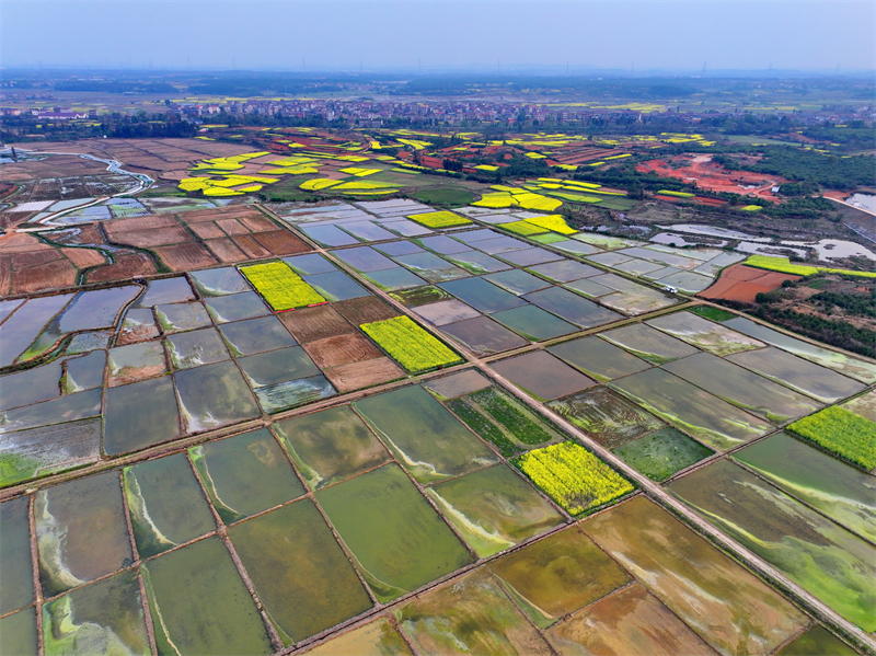 Jiangxi : le stockage d'eau et l'irrigation dans les champs stimulent la production de céréales à Fengchen