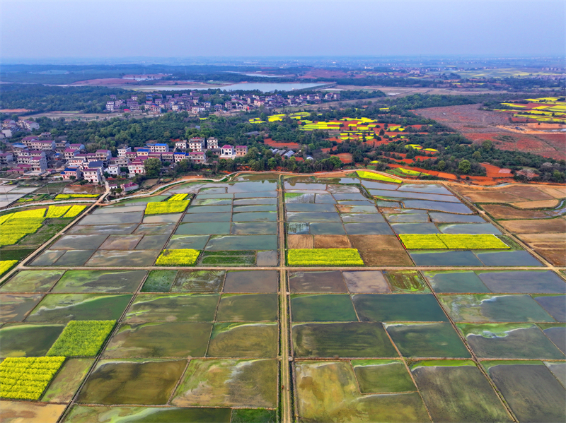 Jiangxi : le stockage d'eau et l'irrigation dans les champs stimulent la production de céréales à Fengchen