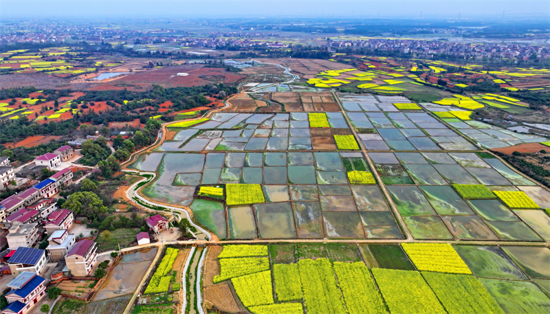 Jiangxi : le stockage d'eau et l'irrigation dans les champs stimulent la production de céréales à Fengchen
