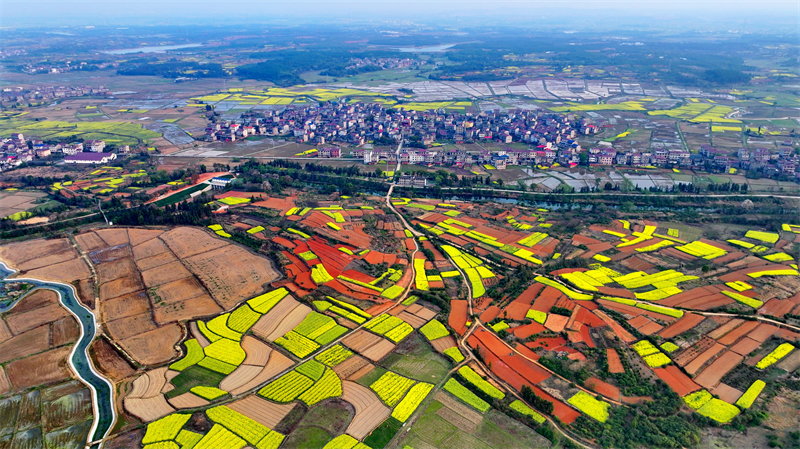 Jiangxi : le stockage d'eau et l'irrigation dans les champs stimulent la production de céréales à Fengchen