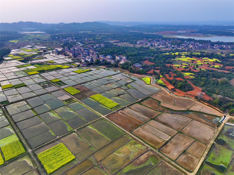 Jiangxi : le stockage d'eau et l'irrigation dans les champs stimulent la production de céréales à Fengchen