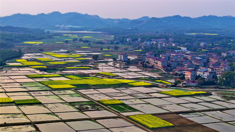 Jiangxi : le stockage d'eau et l'irrigation dans les champs stimulent la production de céréales à Fengchen