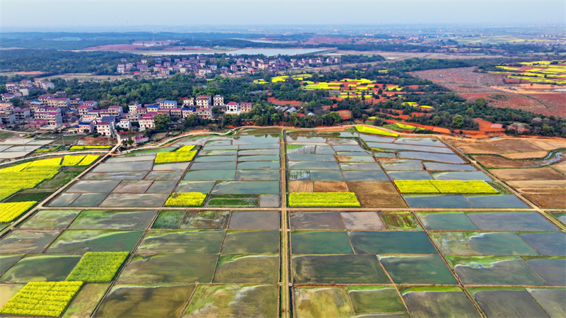 Jiangxi : le stockage d'eau et l'irrigation dans les champs stimulent la production de céréales à Fengchen