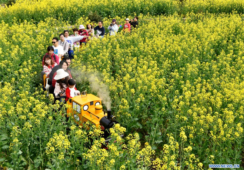Chine : le printemps fait éclore l'économie du tourisme floral