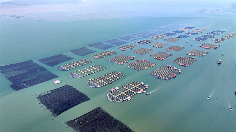 Fujian : le ? grenier ? marin de Ningde