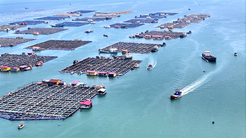 Fujian : le ? grenier ? marin de Ningde