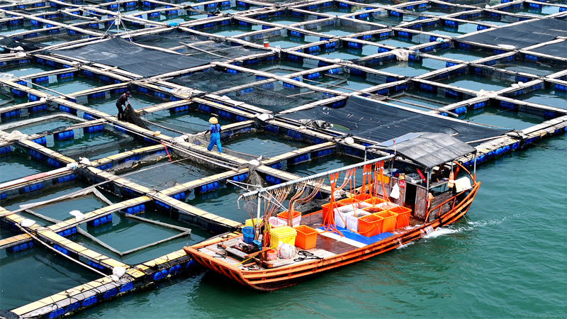 Fujian : le ? grenier ? marin de Ningde