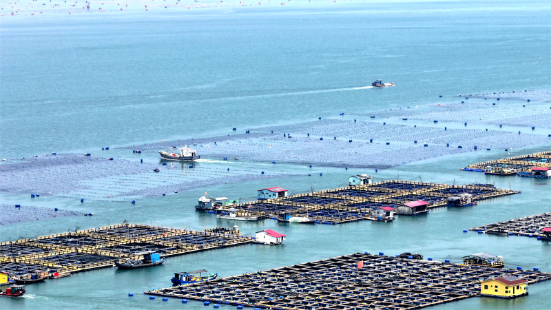 Fujian : le ? grenier ? marin de Ningde