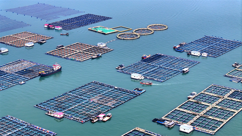 Fujian : le ? grenier ? marin de Ningde