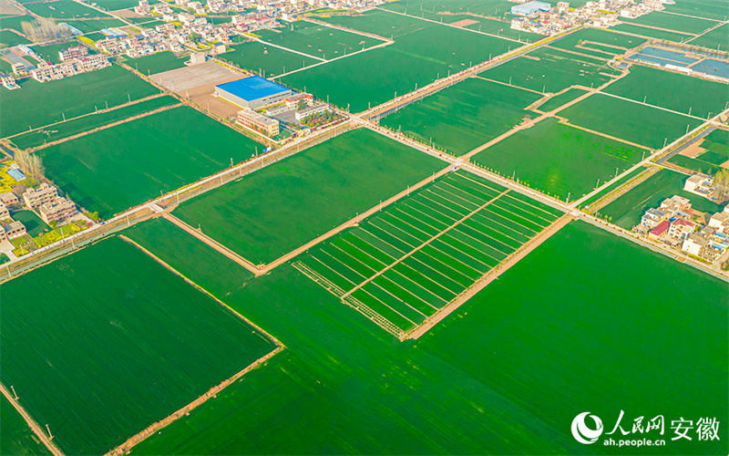 (Photo / Le Quotidien du Peuple en ligne)