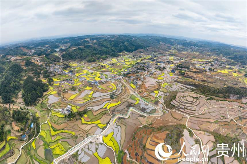 Guizhou : à Fuquan, le printemps est magnifique et les travaux agricoles battent leur plein