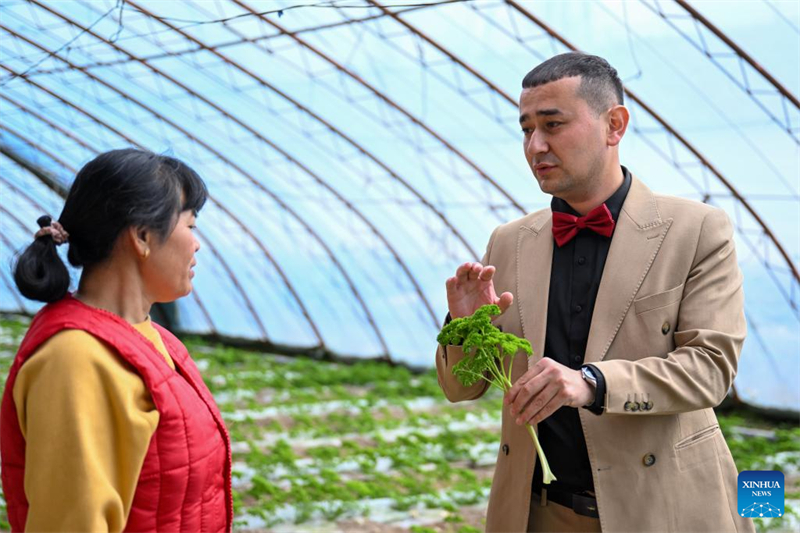 Xinjiang : des vidéos accrocheuses aident à vendre des produits agricoles de Qapqal