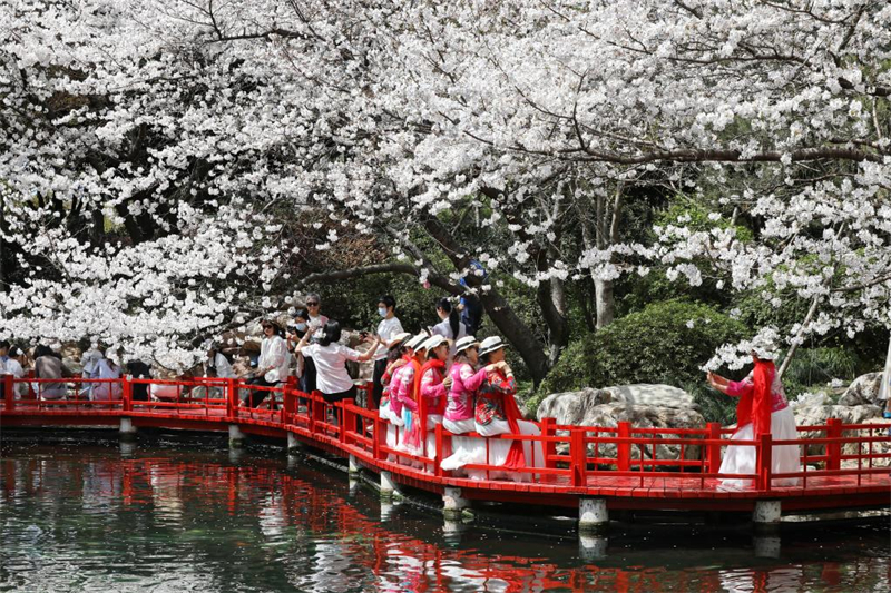 Le tourisme printanier stimule la consommation à travers la Chine