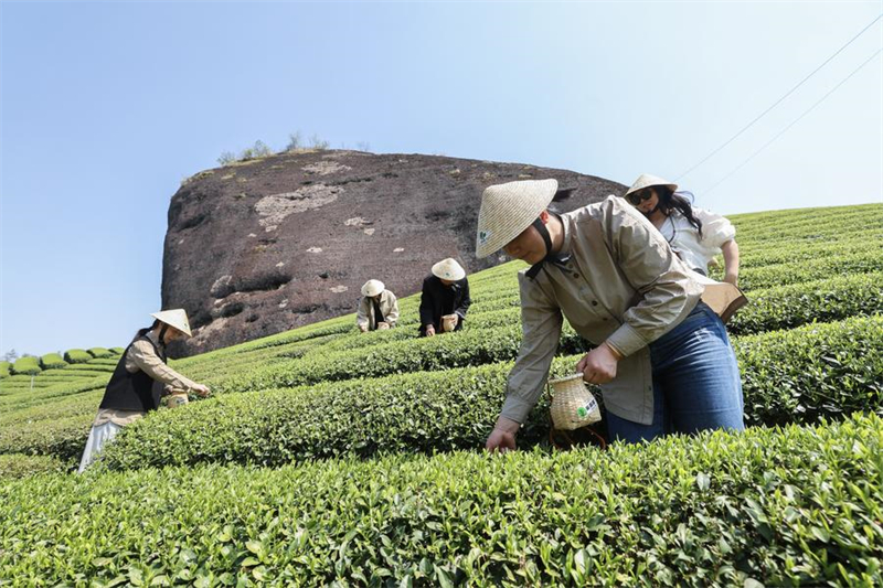 Le tourisme printanier stimule la consommation à travers la Chine