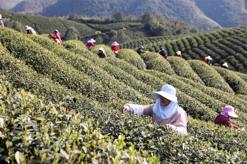 Le tourisme printanier stimule la consommation à travers la Chine