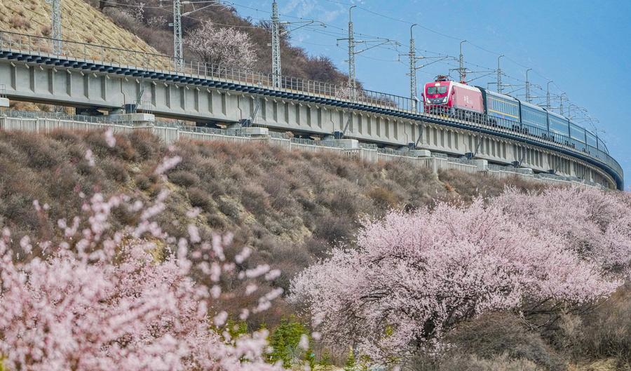 (Xinhua/Tenzin Nyida)