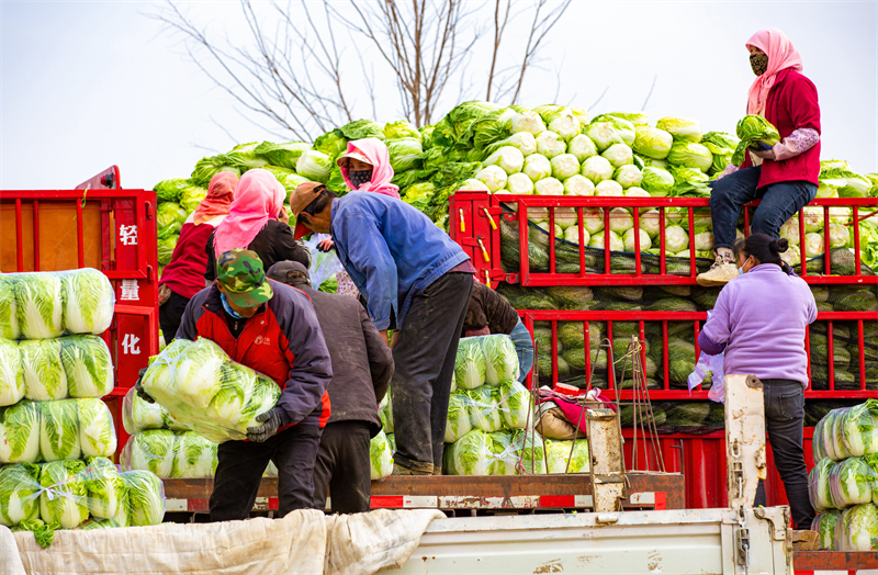 (Photo / Pic.people.com.cn)