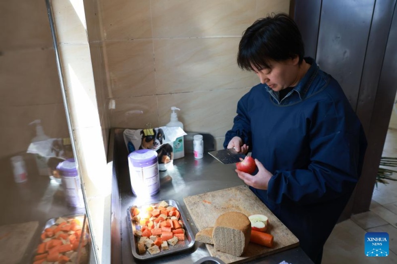 Sichuan : la vie d'une gardienne qui a grandi aux c?tés des pandas géants