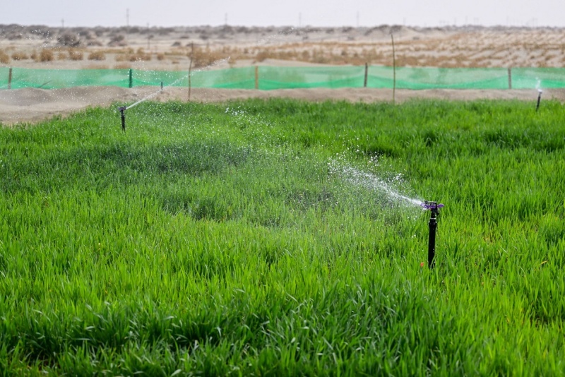 Xinjiang : le désert du Taklamakan complètement entouré d'une ceinture verte grace aux efforts de contr?le du sable