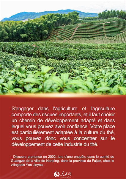 L'histoire de Xi Jinping et du thé du Fujian