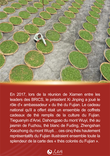 L'histoire de Xi Jinping et du thé du Fujian