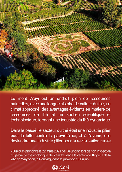 L'histoire de Xi Jinping et du thé du Fujian