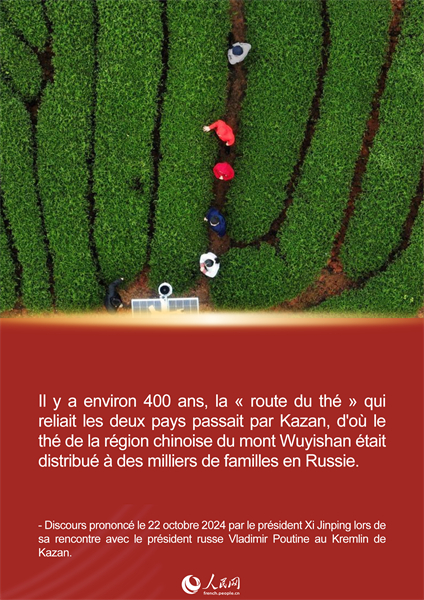 L'histoire de Xi Jinping et du thé du Fujian