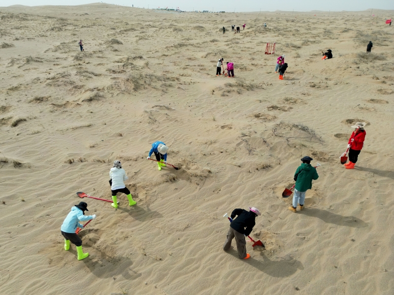 Gansu : ??allez à Minqin pour planter un arbre??