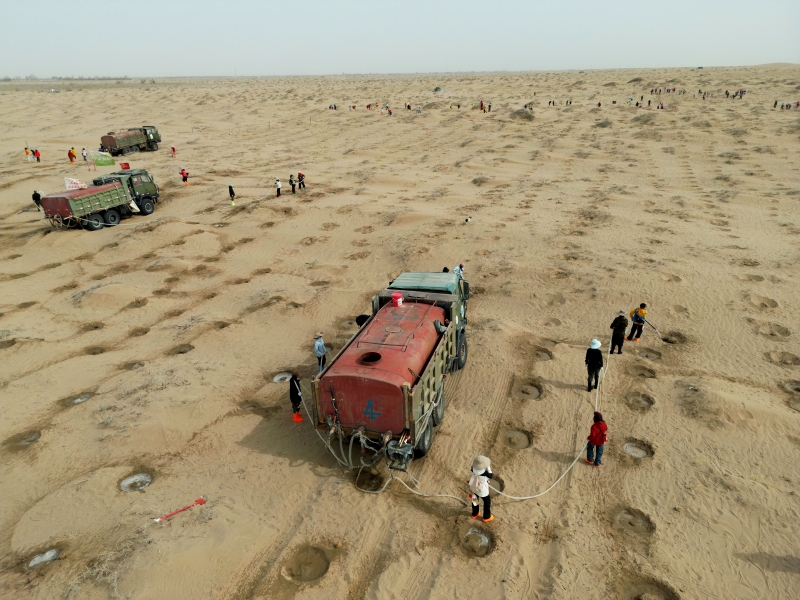 Gansu : ??allez à Minqin pour planter un arbre??