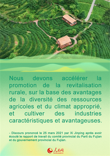 Comment prendre la route de la revitalisation rurale dans le Fujian ? Voici ce qu'a déclaré le secrétaire général Xi Jinping