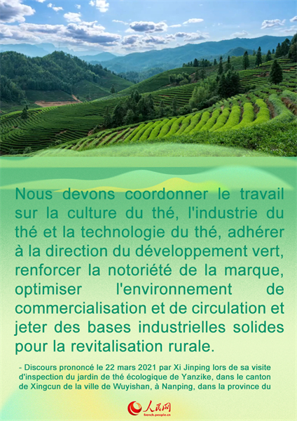 Comment prendre la route de la revitalisation rurale dans le Fujian ? Voici ce qu'a déclaré le secrétaire général Xi Jinping