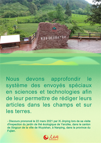 Comment prendre la route de la revitalisation rurale dans le Fujian ? Voici ce qu'a déclaré le secrétaire général Xi Jinping