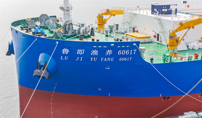 Shandong : le premier navire d'aquaculture et de pêche intelligent de 150 000 tonnes au monde livré et mis en service à Qingdao