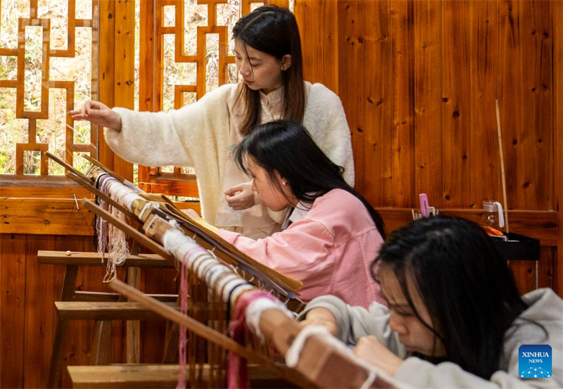 Hunan : une jeune brodeuse injecte une nouvelle vitalité dans l'artisanat traditionnel