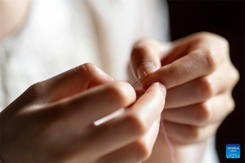 Hunan : une jeune brodeuse injecte une nouvelle vitalité dans l'artisanat traditionnel