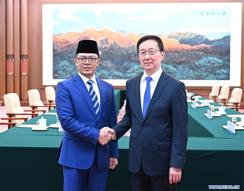 Le vice-président chinois rencontre le ministre indonésien des AE