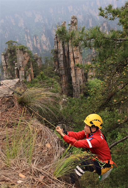 Hunan : à flanc de falaise pour collecter les déchets à Zhangjiajie