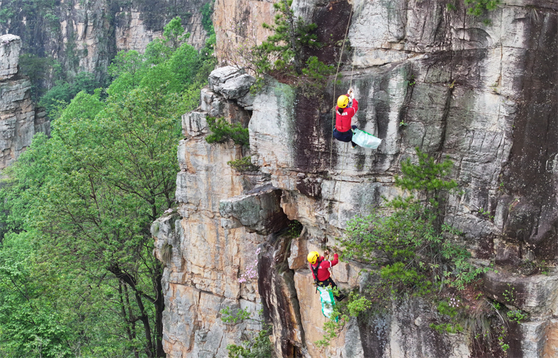 Hunan : à flanc de falaise pour collecter les déchets à Zhangjiajie