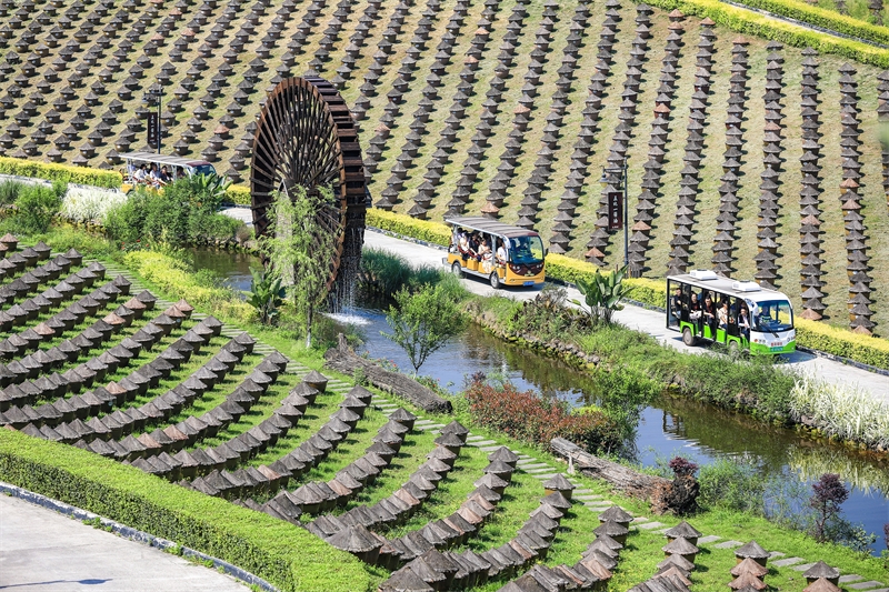 Sichuan : à la découverte de la fabrication de la sauce soja à l'ancienne à Hejiang