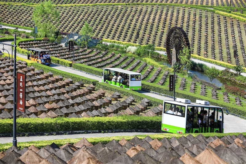 Sichuan : à la découverte de la fabrication de la sauce soja à l'ancienne à Hejiang