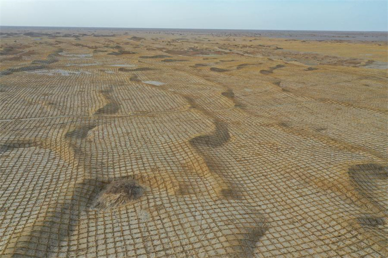 Xinjiang : les efforts de contr?le du sable et de boisement dans le Taklamakan, le plus grand désert de la Chine