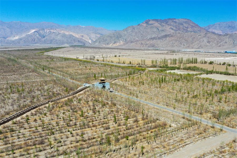 Xinjiang : les efforts de contr?le du sable et de boisement dans le Taklamakan, le plus grand désert de la Chine