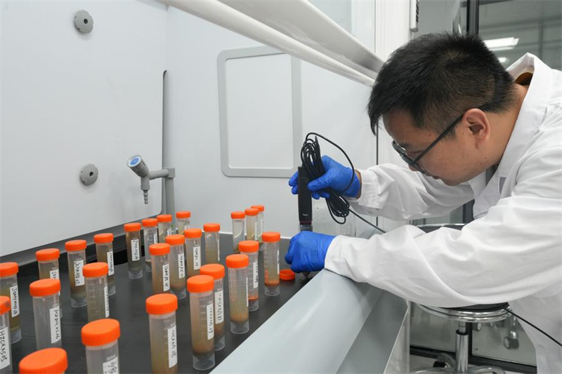 Zhejiang : la technologie fait progresser les efforts archéologiques sur le site de Liangzhu