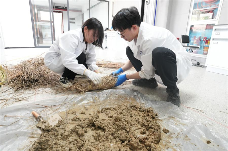 Zhejiang : la technologie fait progresser les efforts archéologiques sur le site de Liangzhu