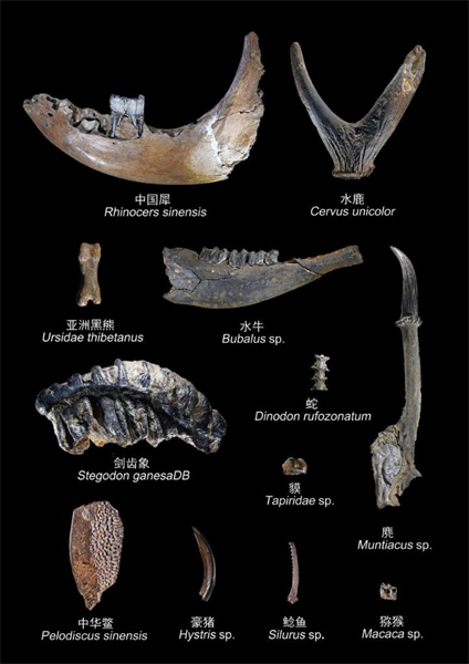 La Chine dévoile ses 10 plus importantes découvertes archéologiques en 2024