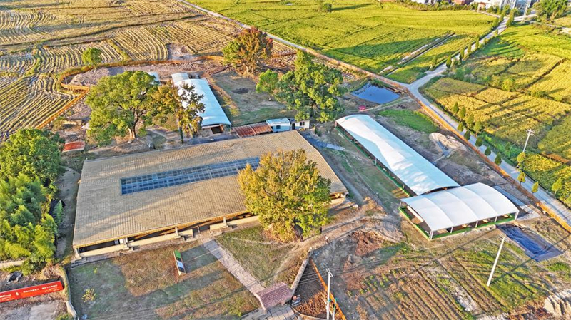 La Chine dévoile ses 10 plus importantes découvertes archéologiques en 2024