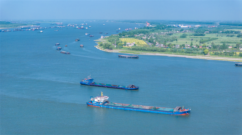 Anhui : les transports fluviaux sur le Yangtsé battent leur plein à Wuhu