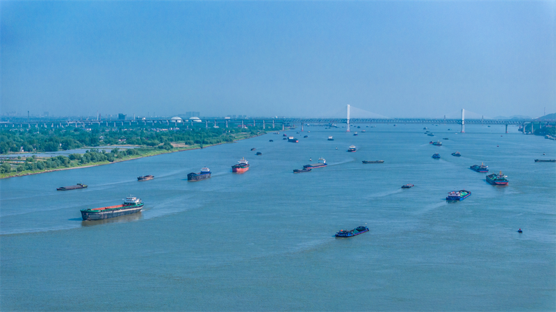 Anhui : les transports fluviaux sur le Yangtsé battent leur plein à Wuhu